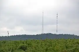 Les deux antennes.