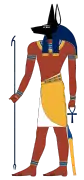 Anubis