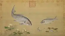 Plantes aquatiques et poissons
