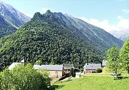 Eget