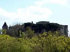 Vue générale au nord (avr.&nbsp;2013).