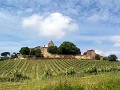 Vue générale au sud (juin&nbsp;2013).