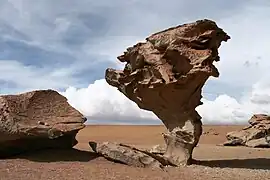 Árbol de Piedra