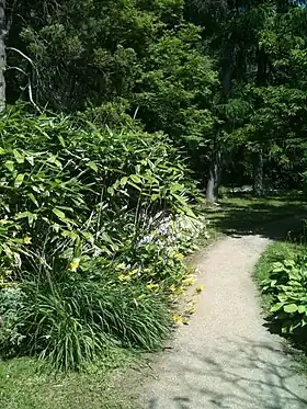 Image illustrative de l’article Jardin botanique de Mayence