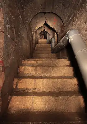 Image illustrative de l’article Arêtes de poisson