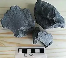 Argilite du Callovo-Oxfordien provenant du laboratoire de Bure (490&nbsp;mètres de profondeur) et datée de 160&nbsp;Ma.