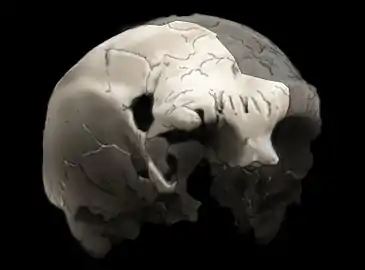 Image illustrative de l’article Aroeira 3