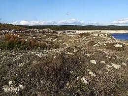 Vue de la zone centrale du site de l'Arquet.