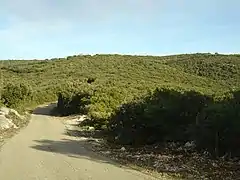 Court palier après 1,8&nbsp;km d’ascension et vue sur le sommet à droite.