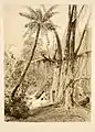 Cascade, L. Le Breton