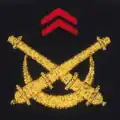40e et 54e régiments d'artillerie