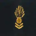 Corps des officiers spécialistes de l'Armée de terre (COSAT/OCTA)