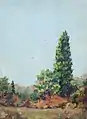 Summer Landscape, sans date