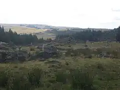 Aperçu de l'Aubrac non loin du col de Bonnecombe.