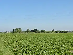 Vue du carreau.