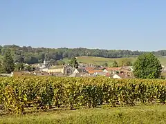Vue du centre d'Avize depuis le vignoble.