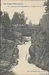 Carte postale ancienne (éd. Homeyer et Ehret).