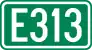E313