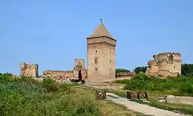 Image illustrative de l’article Forteresse de Bač