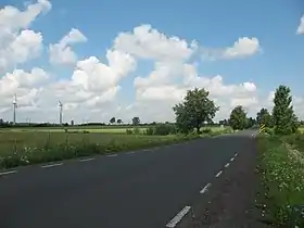 Baby (Piotrków)