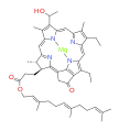 Bactériochlorophylle d