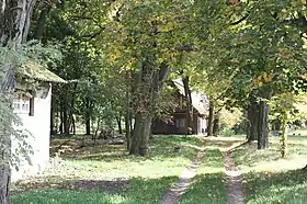Baczki (Węgrów)