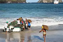 Photo montrant des hommes transportant des sacs de coprah dans une barque, dans la baie de Hane.