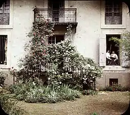 Balcon aux rosiers.