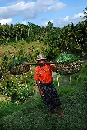 Tegallalang