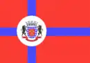 Drapeau de Taquarussu
