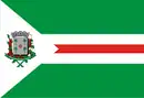 Drapeau de Santa Cruz das Palmeiras