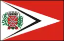 Drapeau de Tarumã