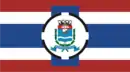 Drapeau de Divinolândia