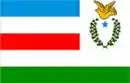 Drapeau de Juruti