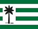 Drapeau de Várzea da Palma