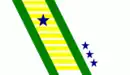 Drapeau de