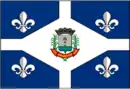 Drapeau de Aparecida
