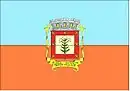 Drapeau de Cardoso