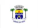 Drapeau de Ribeirão das Neves