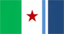 Drapeau de Sagrada Família  commune du Chili