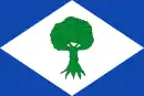 Drapeau de