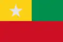 Drapeau de Canton de Junín