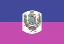 Drapeau de Independencia