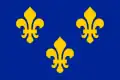 Armes du royaume de France