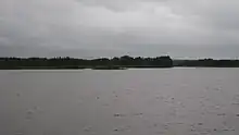 Étendue d'eau avec une forêt en arrière plan.