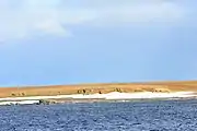 Baie de Barents (76°&nbsp;27′&nbsp;N, 68°&nbsp;42′&nbsp;E)