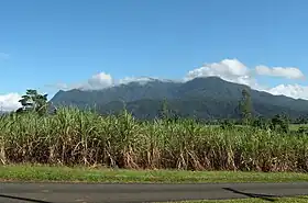 Vue du mont Bartle Frere depuis le sud-est.