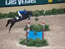 Sur un parcours officiel, une cavalière et son cheval bai foncé franchissent un gros et large oxer surplombant un bidet entouré de plantes vertes.