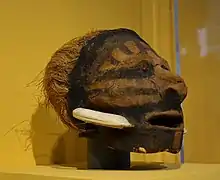 Crâne surmodelé, Vanuatu.