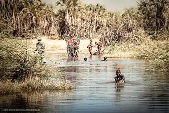 Végétation et habitants sur la rive ouest du lac en septembre 2013.